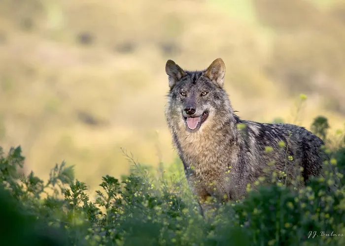 Casa Del Conde * Santa Cruz de la Sierra
